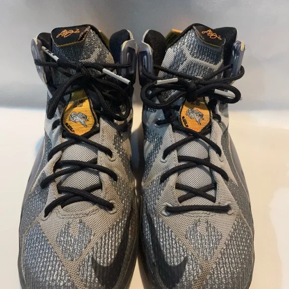 LeBron youth sneakers XII GS silver size 6 boys Shoes